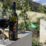 from adelaide mclaren vale winery tour via hahndorf From Adelaide: McLaren Vale Winery Tour via Hahndorf