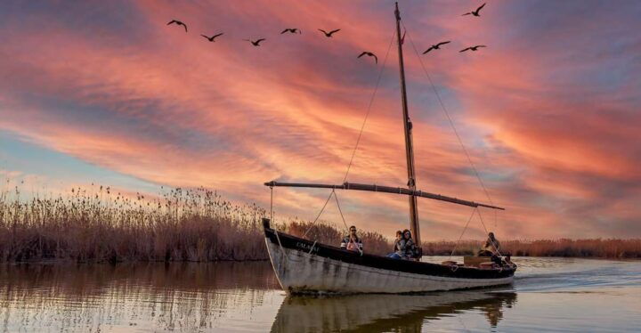 From Alicante: Cullera Old Town and Albufera Natural Park - Key Points