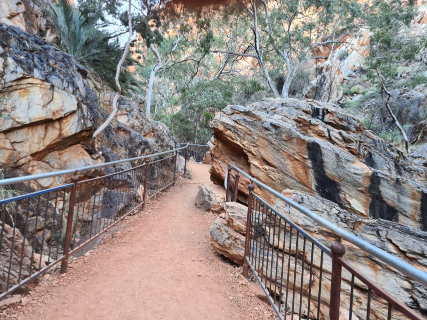 From Alice Spring: West MacDonnell Ranges Half-Day Tour - Key Points