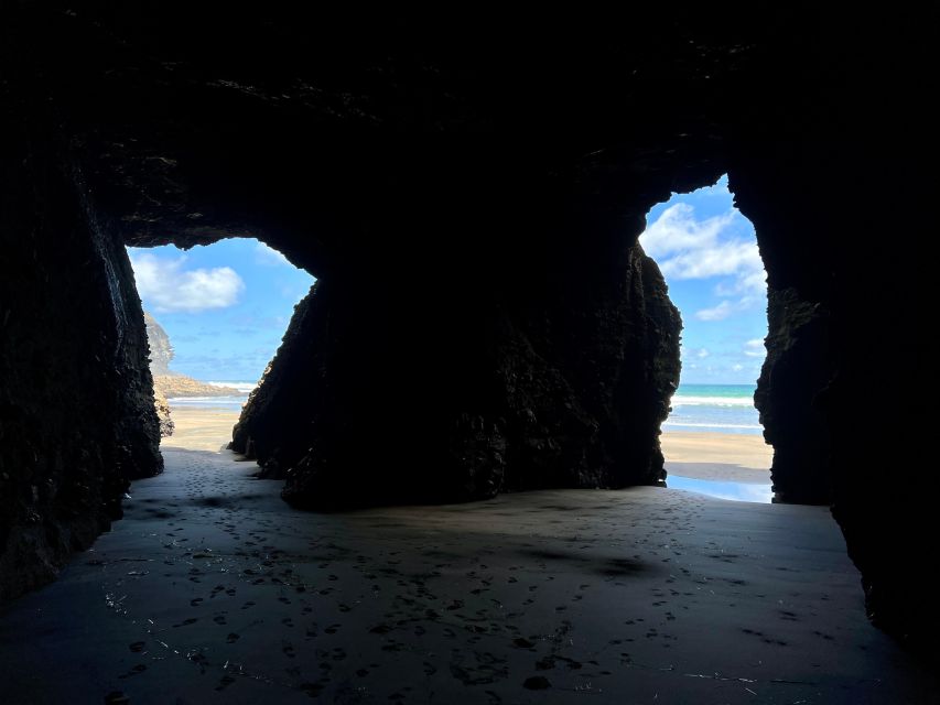 From Auckland: Guided Tour of Piha With Scenic Beach Walks - Key Points