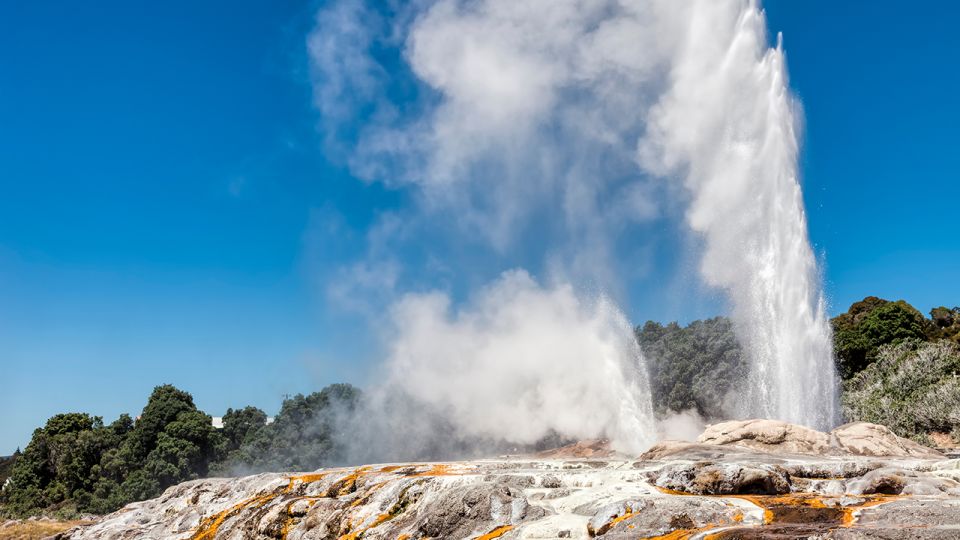 From Auckland: One-Way Trip to Rotorua With Waitomo Caves - Key Points