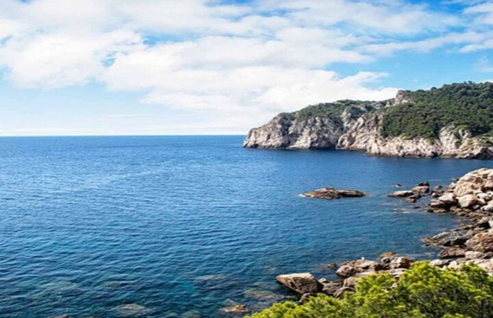 From Barcelona: Costa Brava Private Guided Tour - Key Points