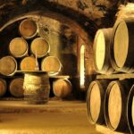 from bilbao rioja wine region with winery vitoria gasteiz From Bilbao: Rioja Wine Region With Winery & Vitoria-Gasteiz
