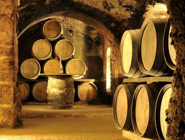 From Bilbao: Rioja Wine Region With Winery & Vitoria-Gasteiz