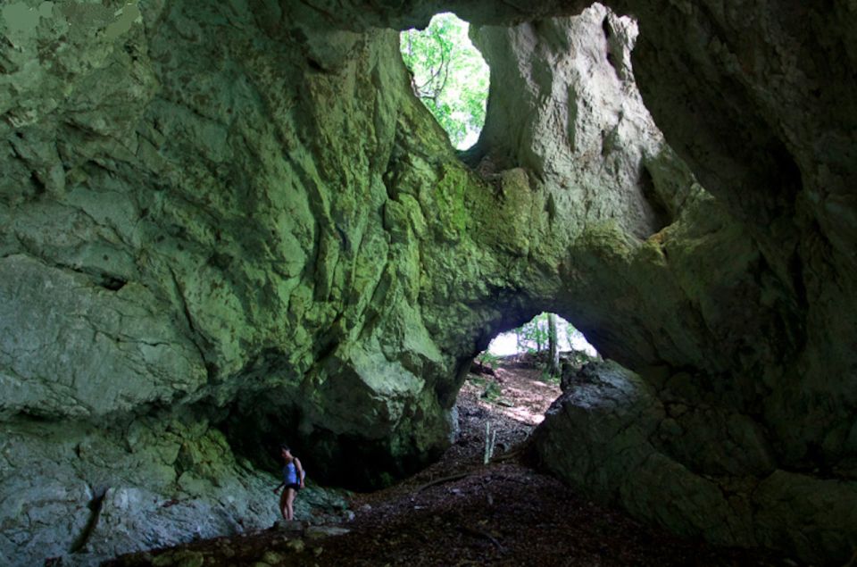 From Bled: Half-Day Pokljuka Gorge Trail Hike - Key Points