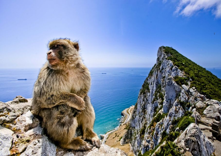 From Cádiz: Private Day Trip to Gibraltar & Vejer Tour - Key Points