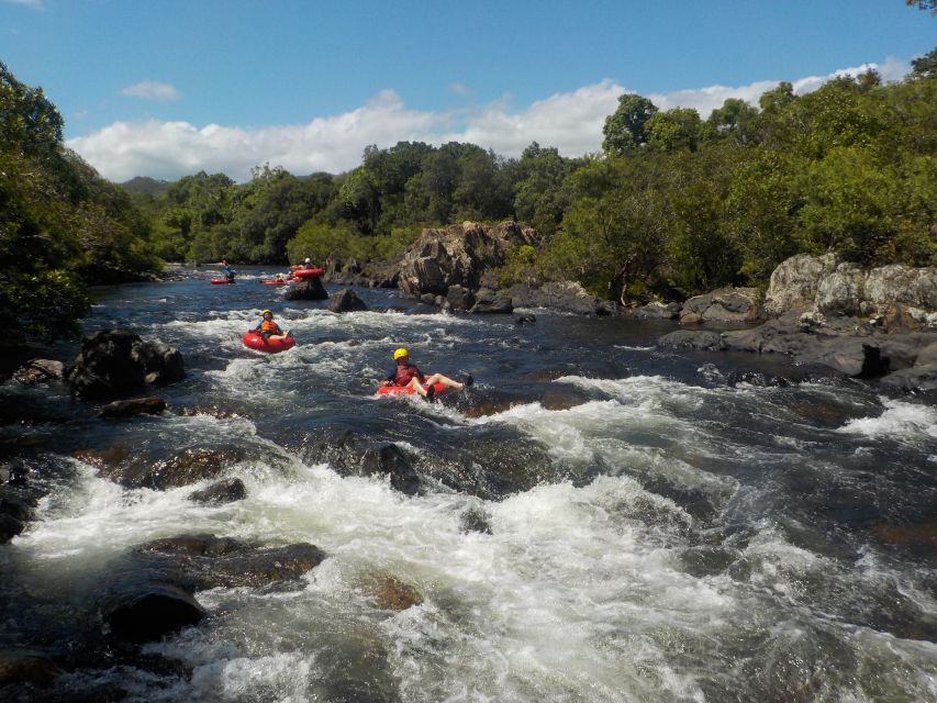 from cairns and northern beaches rainforest river tubing From Cairns and Northern Beaches: Rainforest River Tubing