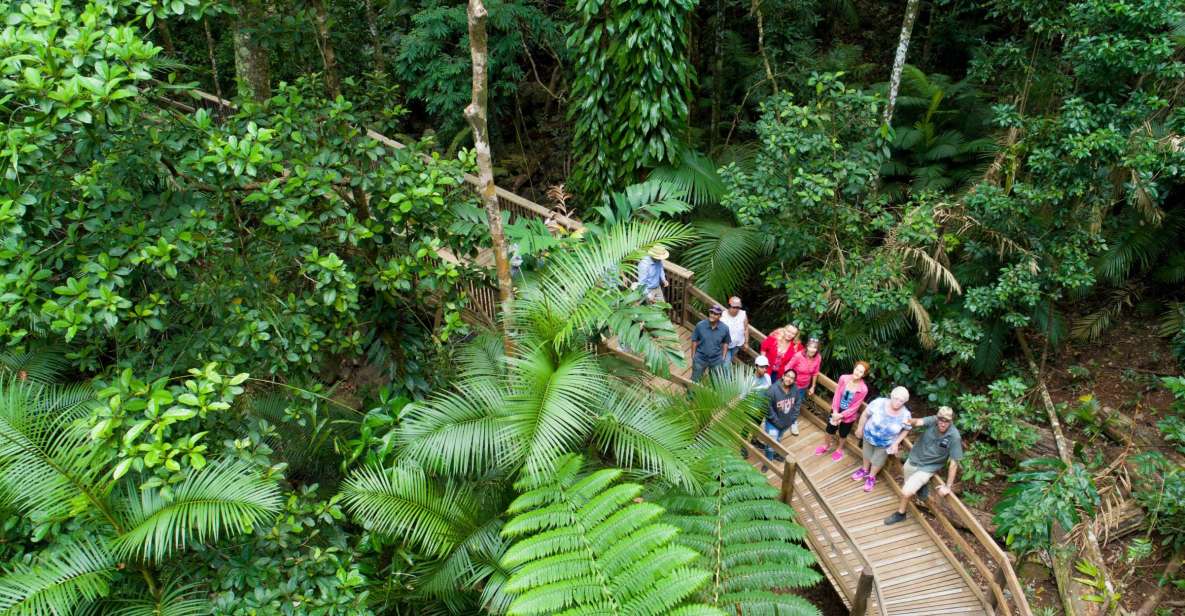 From Cairns: Daintree Rainforest & Cape Tribulation 4WD Tour - Key Points