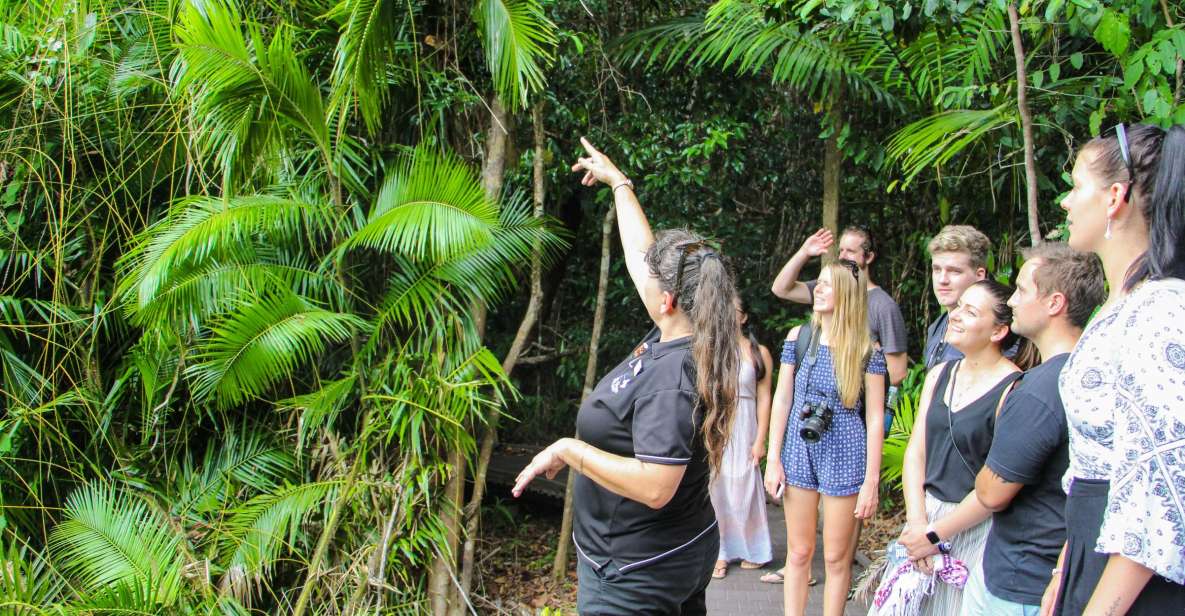 From Cairns: Daintree Wilderness & Cape Tribulation Bus Tour - Key Points