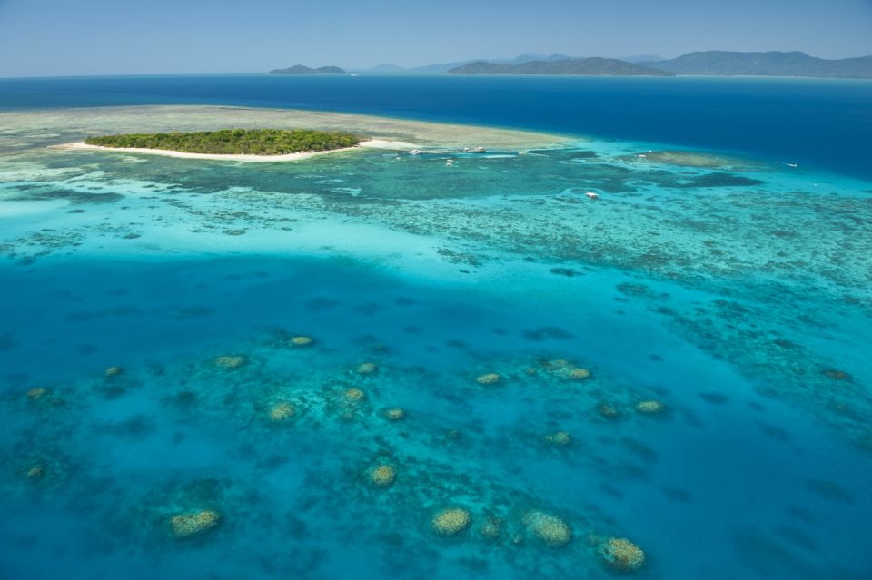 From Cairns: Full-Day Green Island Cruise - Key Points