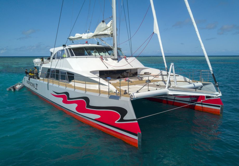 from cairns great barrier reef cruise by premium catamaran From Cairns: Great Barrier Reef Cruise by Premium Catamaran