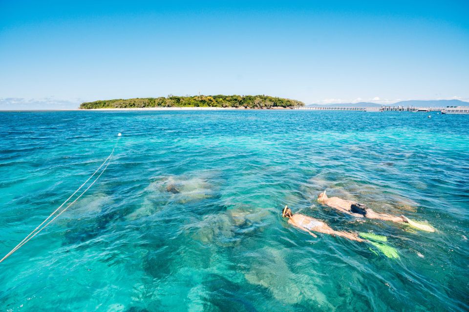 From Cairns: Green Island Snorkelling or Glass Bottom Boat - Key Points