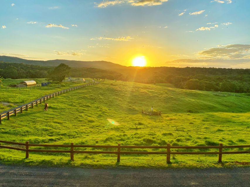 From Cairns: Kuranda Day Trip With Petting Zoo and Quad Ride - Key Points