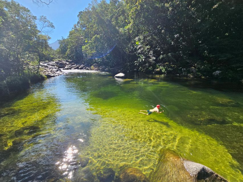 From Cairns: Mossman Gorge Tour & Daintree Rainforest Cruise - Key Points