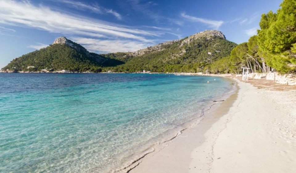 From Can Picafort: FORMENTOR BEACH - Key Points