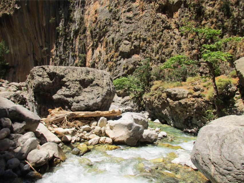 From Chania: Full-Day Samaria Gorge Trek Excursion - Tour Description