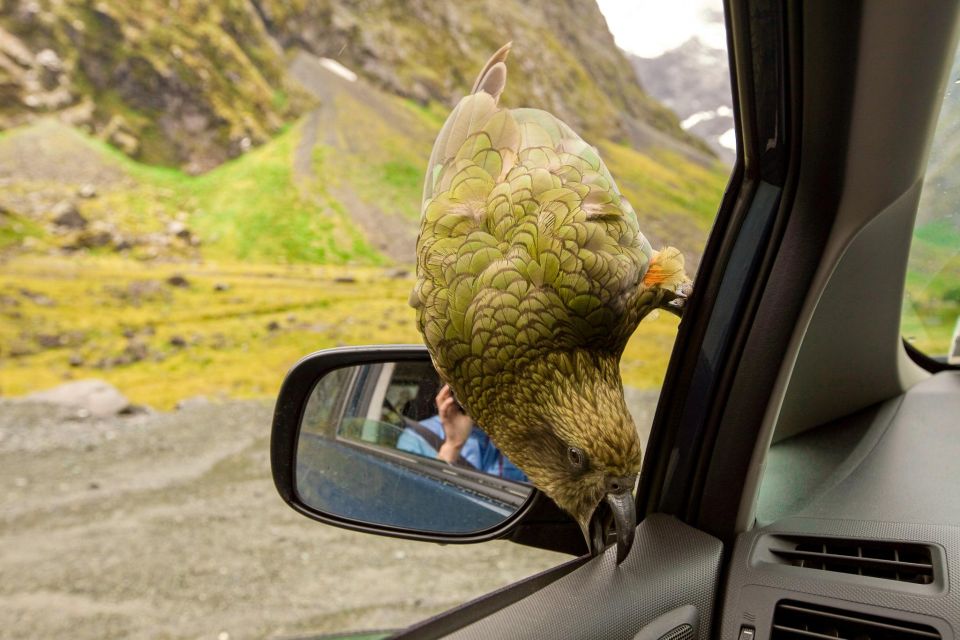 From Christchurch: Arthur's Pass Guided Day Trip With Lunch - Key Points