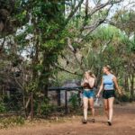 from darwin kakadu wilderness escape day tour From Darwin: Kakadu Wilderness Escape Day Tour