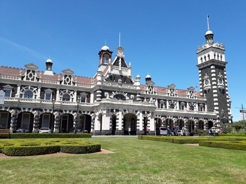 From Dunedin: City, Otago Peninsula & Albatross Guided Tour - Key Points