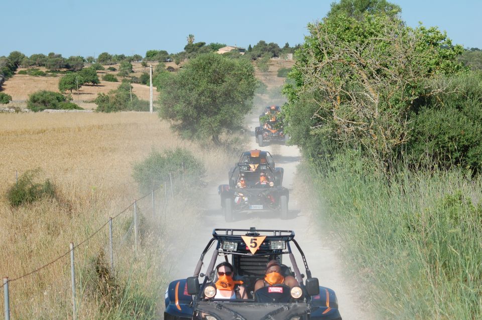From East Mallorca: Guided Beach and Mountain Buggy Tour - Key Points