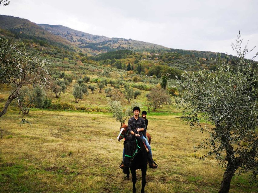 From Florence: Horseback Ride and Olive Oil Tour With Lunch - Key Points