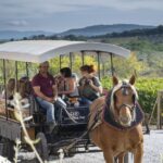 from florence maremma private wine tour and suvereto From Florence: Maremma Private Wine Tour and Suvereto