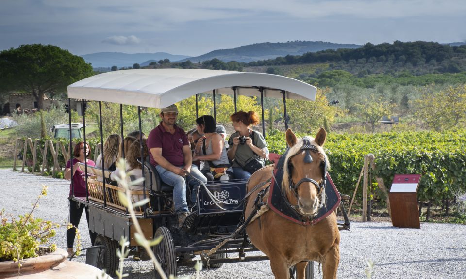 From Florence: Maremma Private Wine Tour and Suvereto - Key Points