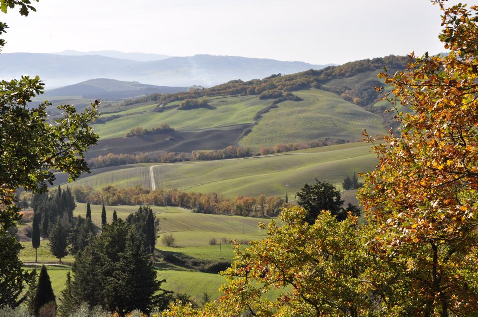 From Florence: Val D'Orcia Full-Day Wine Tasting Tour - Key Points