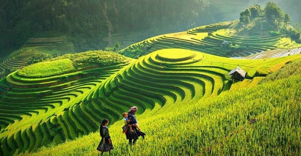 From Hanoi: 2-Day Sapa Town Hiking Tour & Homestay With Food - Key Points