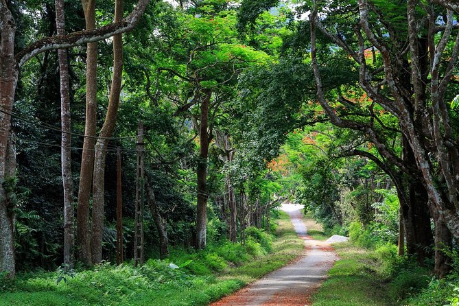 From Hanoi: Cuc Phuong National Park Day Trip by Private Car - Key Points