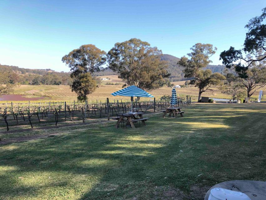 From Haymarket: Hunter Valley Wine and Wildlife Day Trip - Key Points