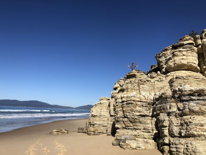 From Hobart: Bruny Island Nature and Produce Full-Day Tour - Key Points