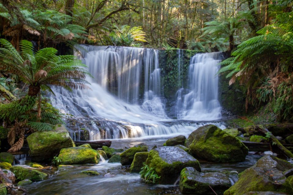From Hobart: Mt. Field National Park and Russell Falls - Key Points