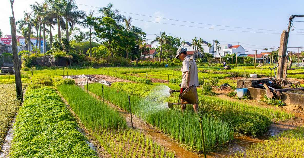 From Hoi An: Half-Day Tra Que Vegetable Village Bike Tour - Key Points