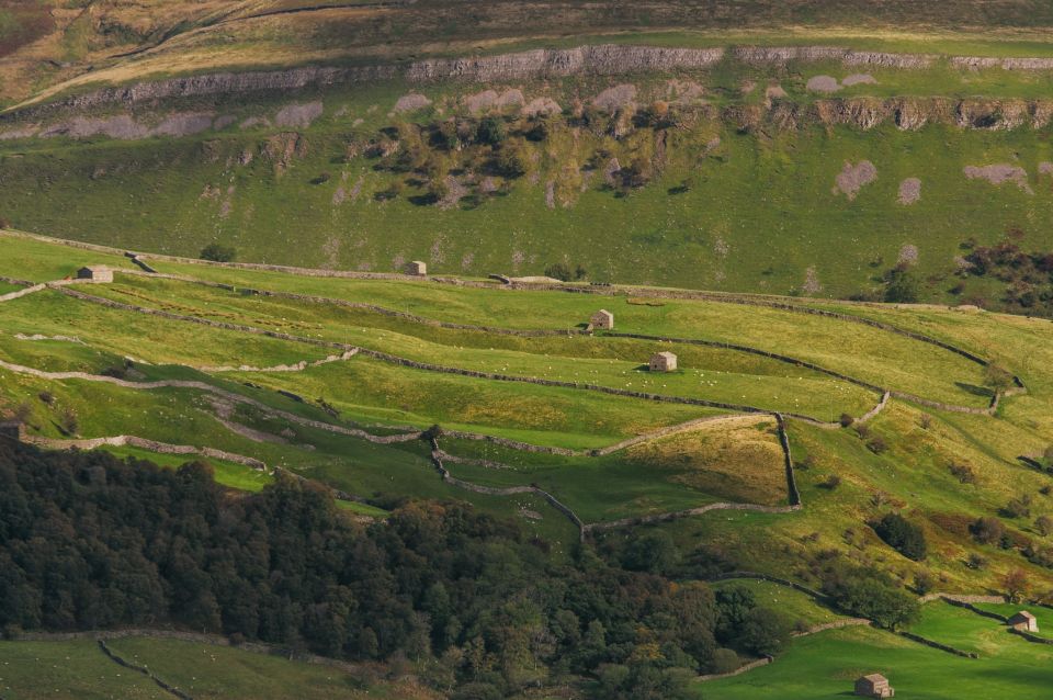 From Lake District: Full-Day Yorkshire Dales Tour - Key Points