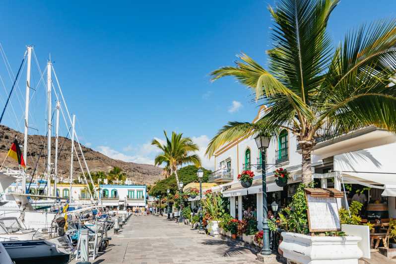 From Las Palmas: Experience the Highlights of Gran Canaria - Key Points