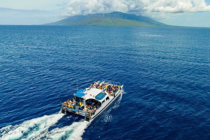 From Maalaea Harbor: Sunset Dinner Cruise Aboard the Malolo - Key Points