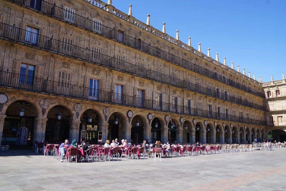 From Madrid: Day Trip to Salamanca With Private Tour - Key Points
