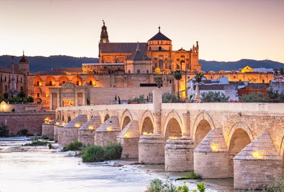 From Madrid: The Best of Córdoba in One Day by Train - Key Points