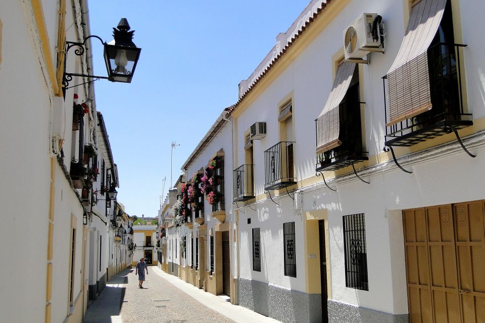 From Malaga: Córdoba Private Day Trip and La Mezquita - Key Points