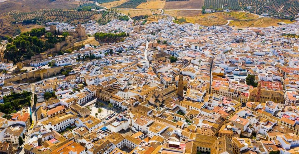 From Marbella: Antequera Wine Tour With Tastings and Lunch - Key Points