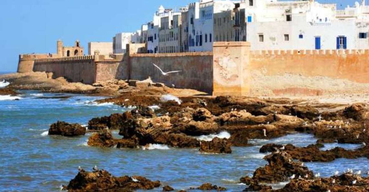 From Marrakech: Day Trip to Essaouira - Key Points
