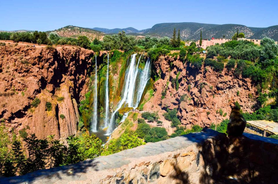 From Marrakech: Ouzoud Waterfalls Guided Hike and Boat Tour - Key Points