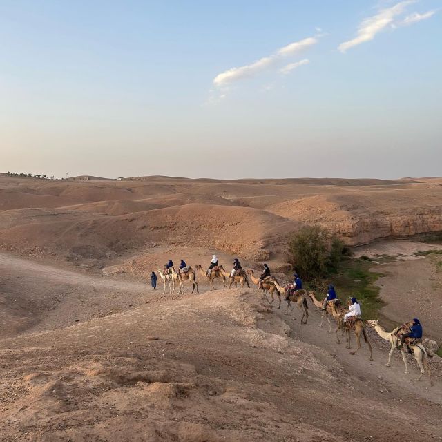 From Marrakesh: Agafay Desert Sunset, Camel Ride, and Dinne - Key Points