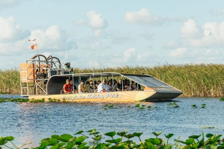 From Miami: Everglades Airboat, Wildlife Show & Bus Transfer - Key Points