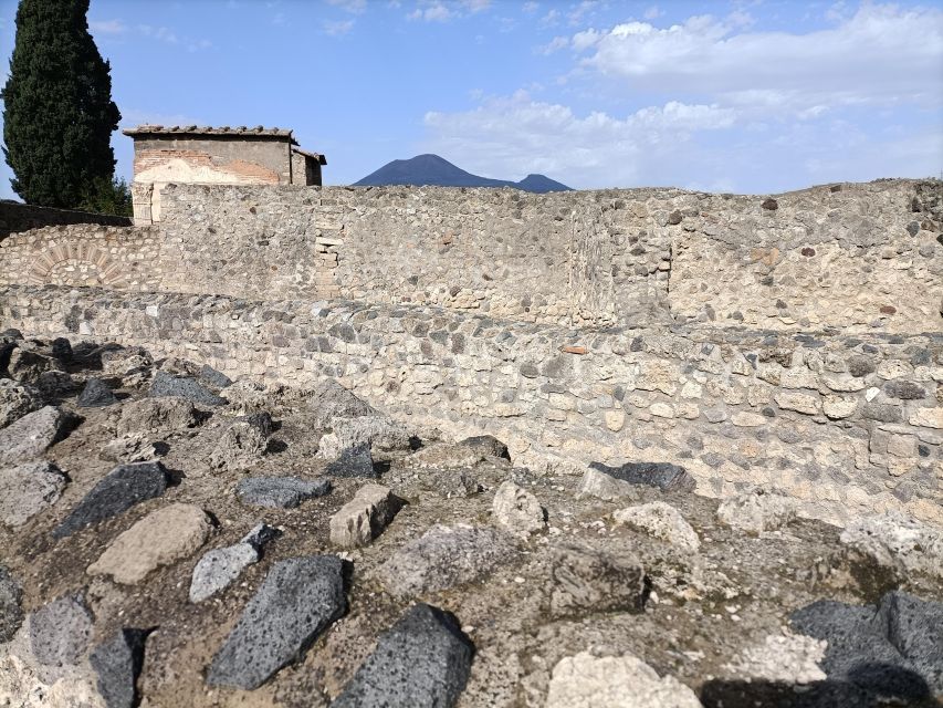 From Naples: Pompeii & Peastum Guided Tours - Key Points