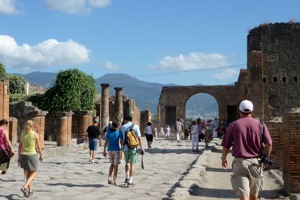 From Naples: Private Guided Tour of Pompeii - Key Points