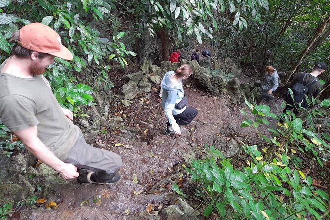 From Ninh Binh Cuc Phuong National Park One Day Trekking Tour - Tour Highlights