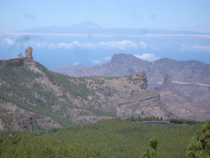 From Palmas: Pico De Las Nieves & Roque Nublo Full-Day Trip - Key Points