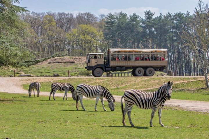 From Paris: Thoiry Park Safari and Castle Tour - Highlights of Thoiry Park Safari